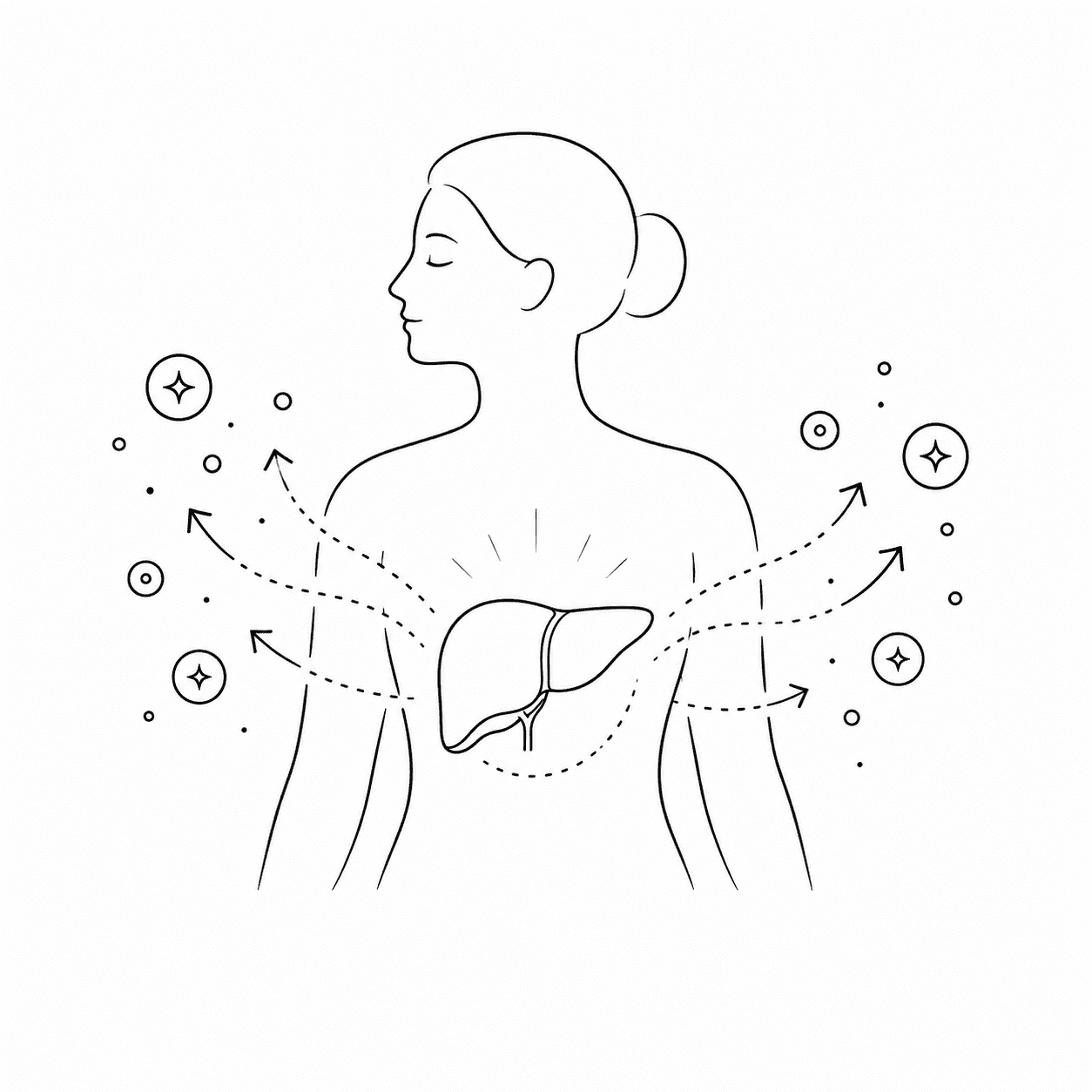 liver-detoxification-support-outline-icon