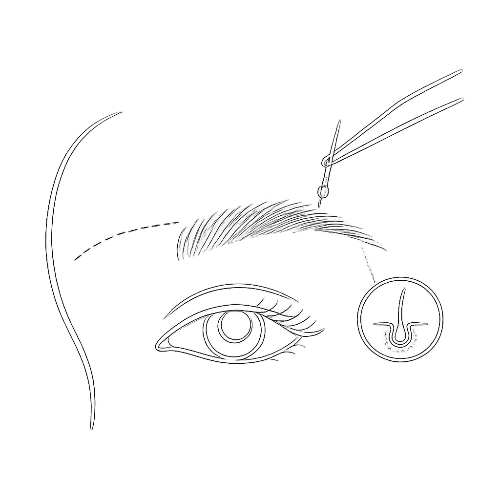 Line icon of forceps constructing a full eyebrow above an eye in profile